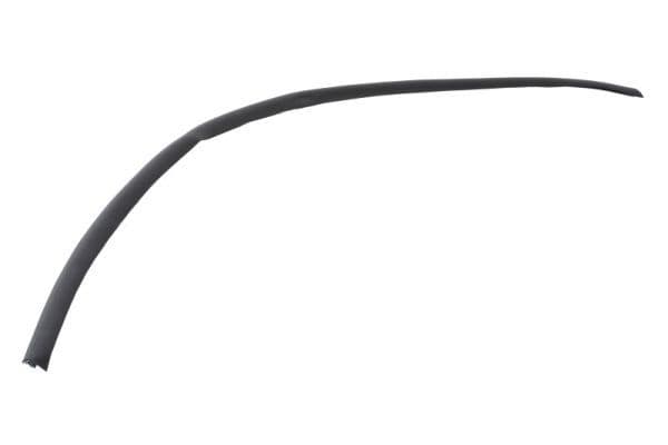 Elemente decorative/protectie, parbriz BLIC 5703-04-6037685Q
