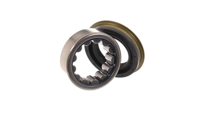 Set rulment roata SKF VKBA 6681
