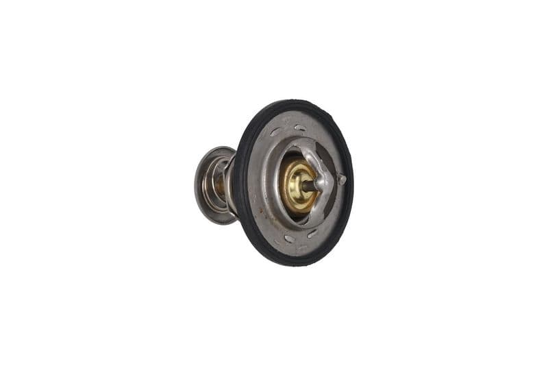 termostat,lichid racire KAMOKA 7710105