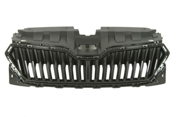 Grila radiator BLIC 6502-07-7517992P