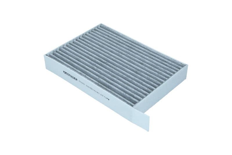 Filtru, aer habitaclu KAMOKA F519301