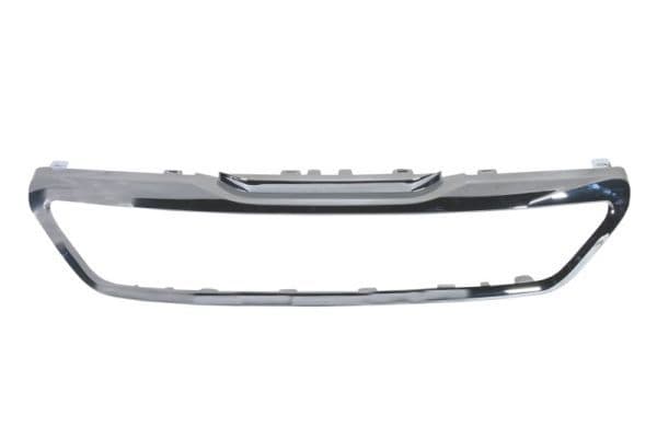 Banda de protectie, grila radiator BLIC 6502-07-5519996P