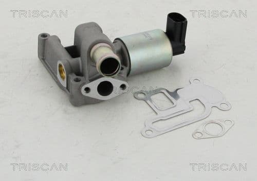Supapa EGR TRISCAN 8813 24003