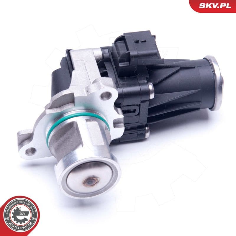 Supapa EGR ESEN SKV 14SKV185