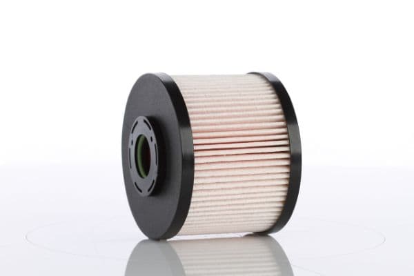filtru combustibil MTR 12138467