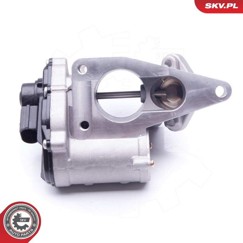Supapa EGR ESEN SKV 14SKV168