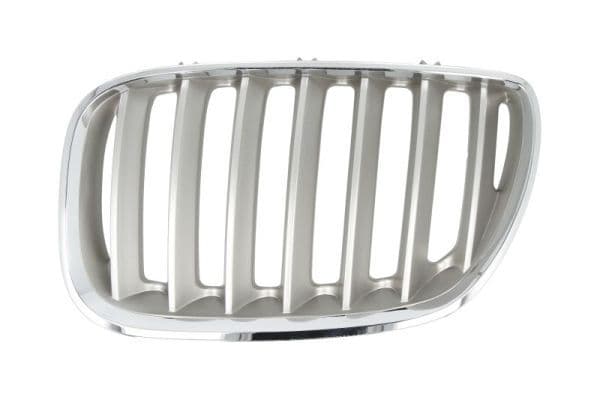 Grila radiator BLIC 6502-07-0095997P