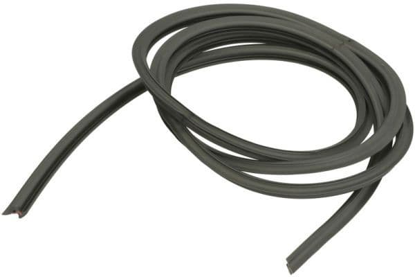 Elemente decorative/protectie, parbriz BLIC 5703-04-6037664Q