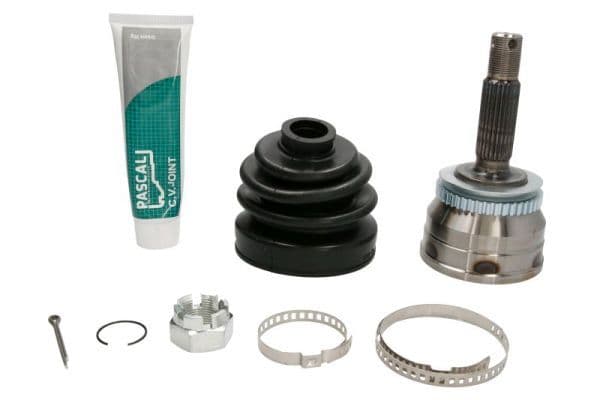 Set articulatie, planetara PASCAL G10539PC