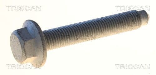 Bolturi fixare, brat suspensie TRISCAN 8501 0530