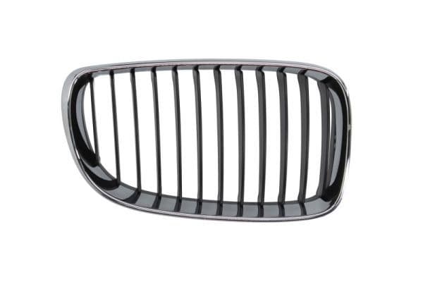 Grila radiator BLIC 6502-07-0085992PQ