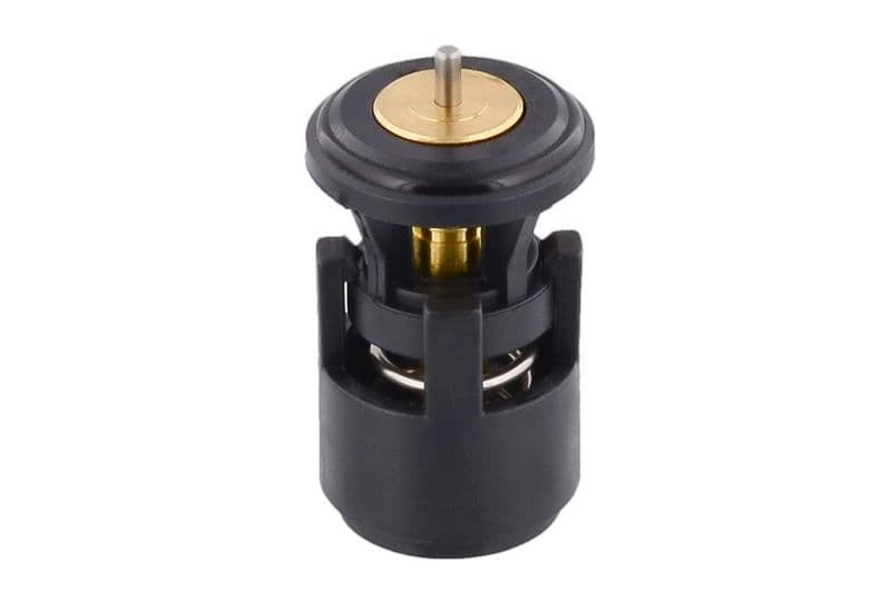 termostat,lichid racire TOPRAN 100 616