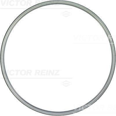 Garnitura, chiulasa REINZ 61-23405-00