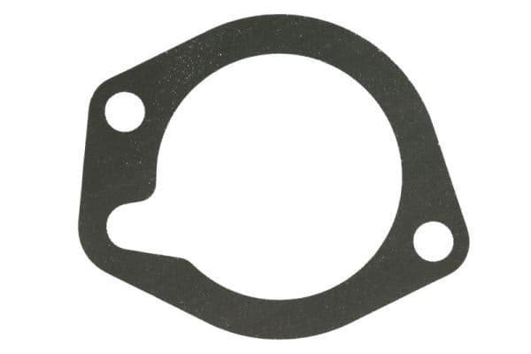 Garnitura termostat ENGITECH ENT010919