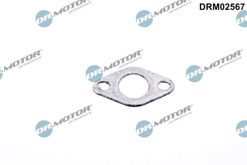 Garnitura etansare, supapa aer secundar Dr.Motor Automotive DRM02567