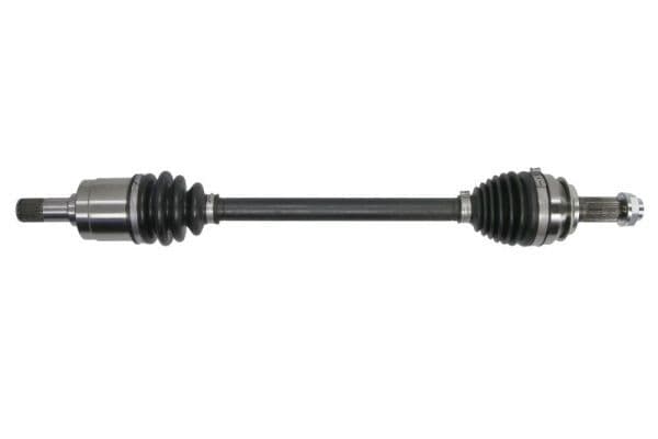 Planetara PASCAL G24020PC