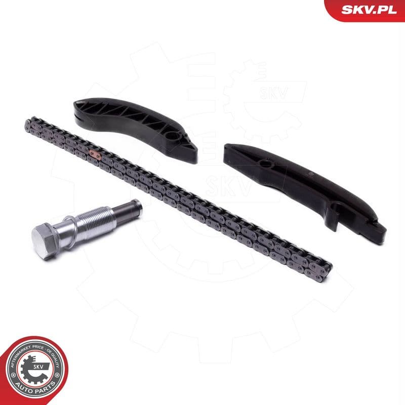 chit lant de distributie ESEN SKV 21SKV249