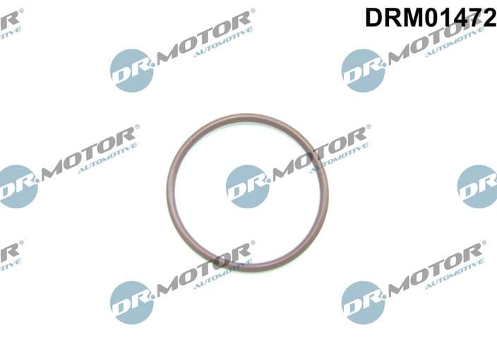 Garnitura, pompa combustibil Dr.Motor Automotive DRM01472