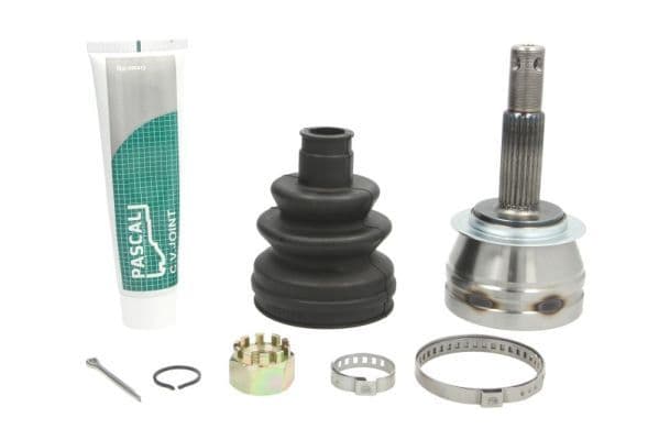 Set articulatie, planetara PASCAL G10001PC