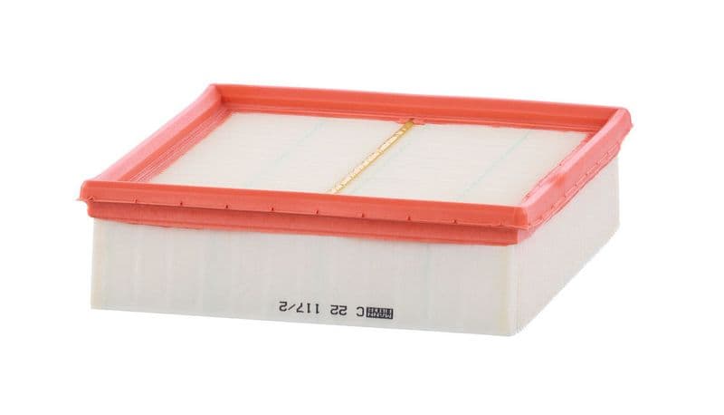 Filtru, aer habitaclu MANN-FILTER C 22 117/2