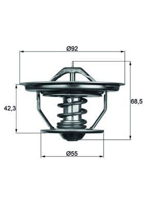 termostat,lichid racire MAHLE BEHR TX 35 79