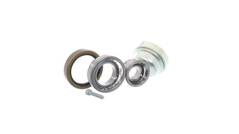 Set rulment roata SKF VKBA 1498