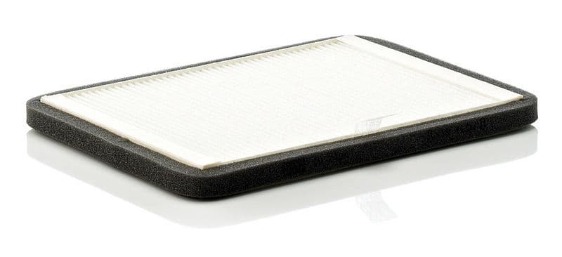Filtru, aer habitaclu MANN-FILTER CUK 2424