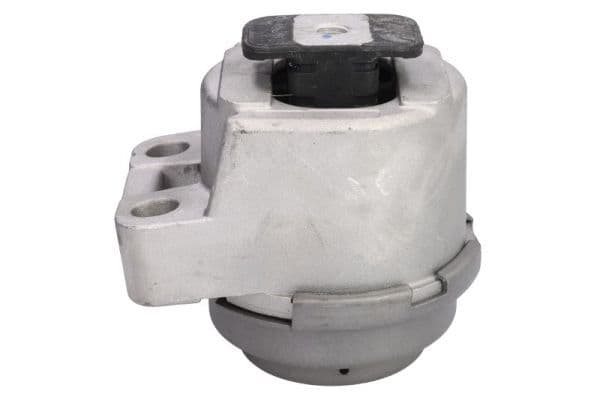 Suport motor REINHOCH RH11-4061
