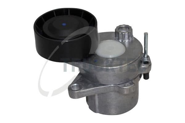 Intinzator curea, curea distributie TRUCKTEC AUTOMOTIVE 02.19.396
