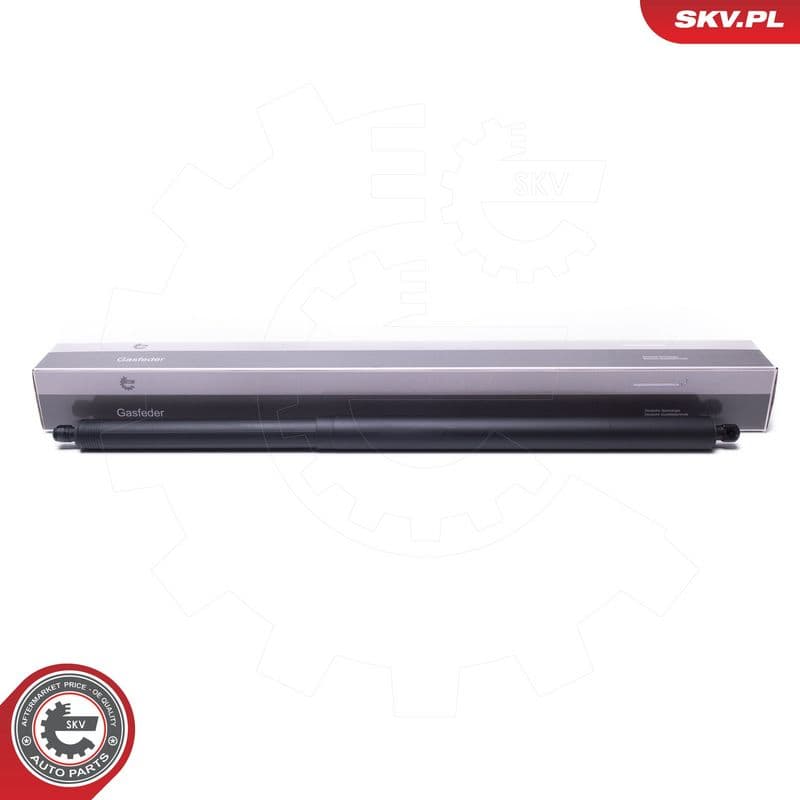 Motor electric, haion ESEN SKV 52SKV971