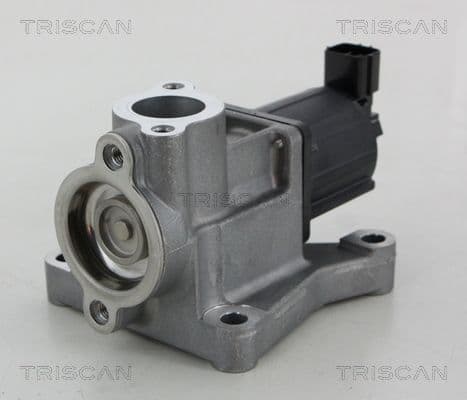 Supapa EGR TRISCAN 8813 50015