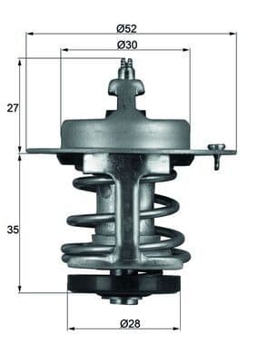termostat,lichid racire MAHLE BEHR TX 69 79