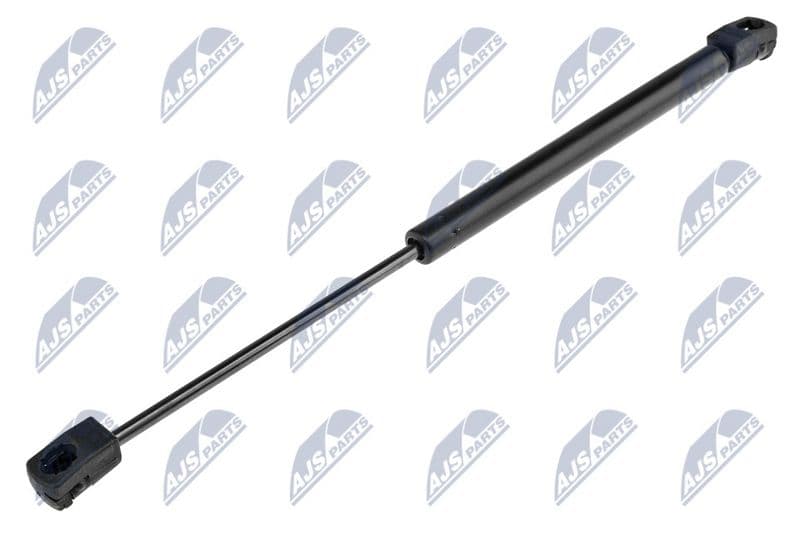 Amortizor capota NTY AE-CH-016