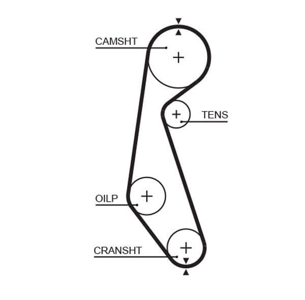 Curea de distributie GATES 5090