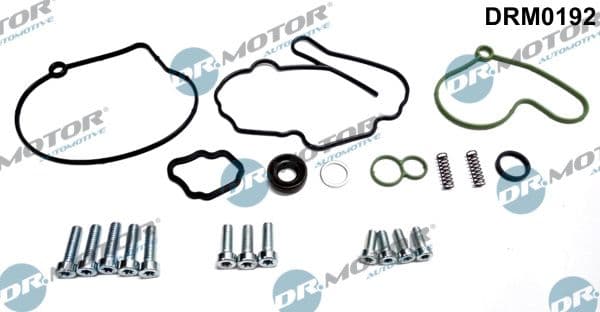 Set reparatie, pompa vacuum (Siste frana) Dr.Motor Automotive DRM0192