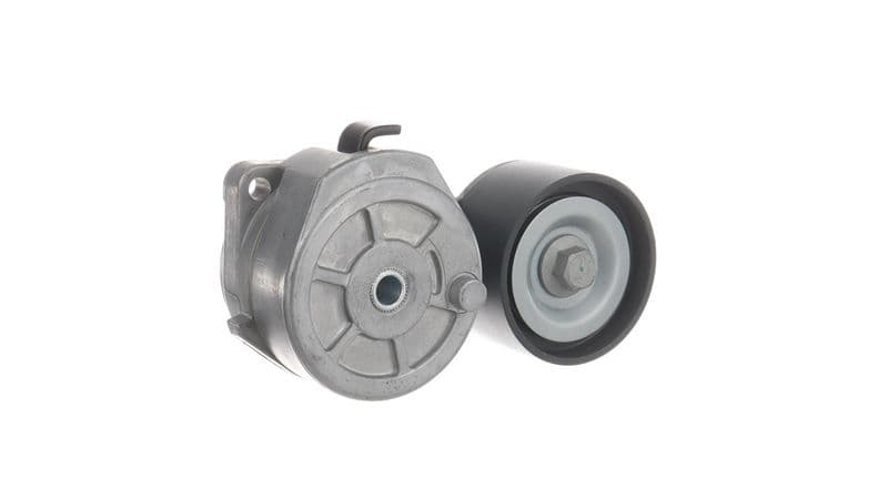 Intinzator curea, curea distributie SKF VKMCV 56013