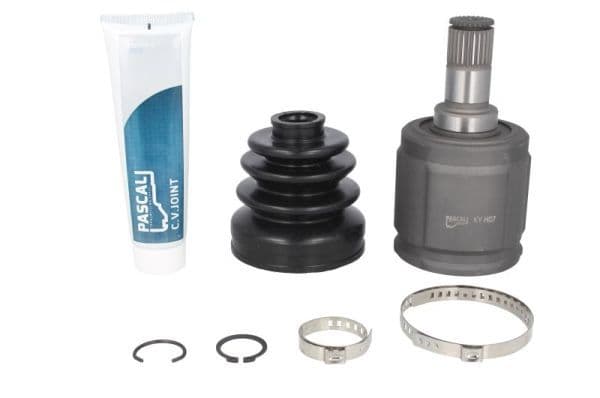Set articulatie, planetara PASCAL G84017PC