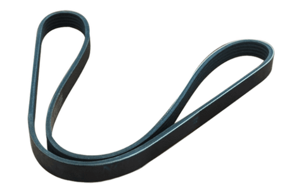 Curea transmisie cu caneluri ASAM AUTOMOTIVE 55992