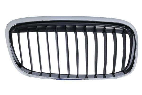 Grila radiator BLIC 6502-07-0071996LP