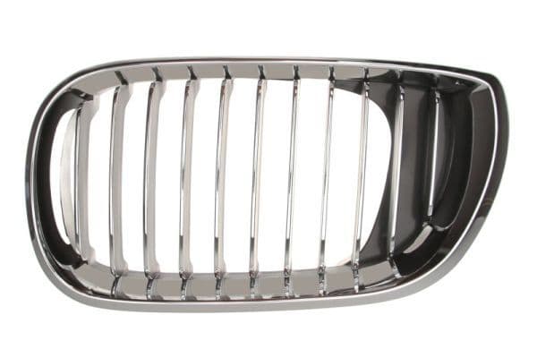 Grila radiator BLIC 6502-07-0061991PP