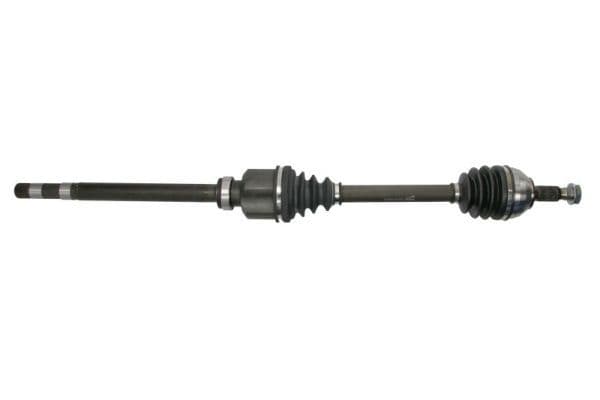 Planetara PASCAL G2P077PC