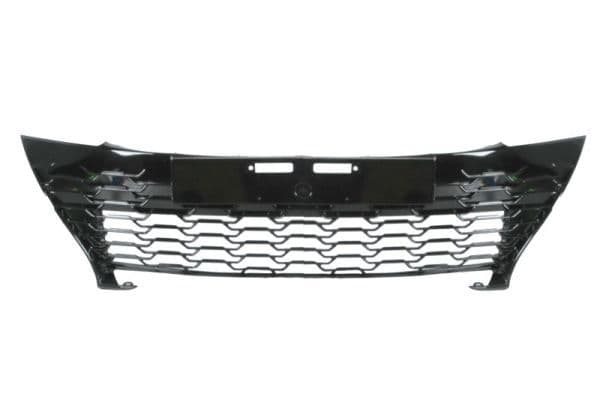 Grila radiator BLIC 6502-07-8156992P