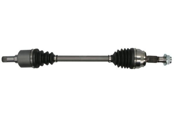 Planetara PASCAL G2F011PC