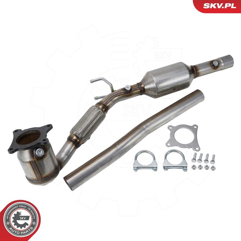 Catalizator ESEN SKV 62SKV169