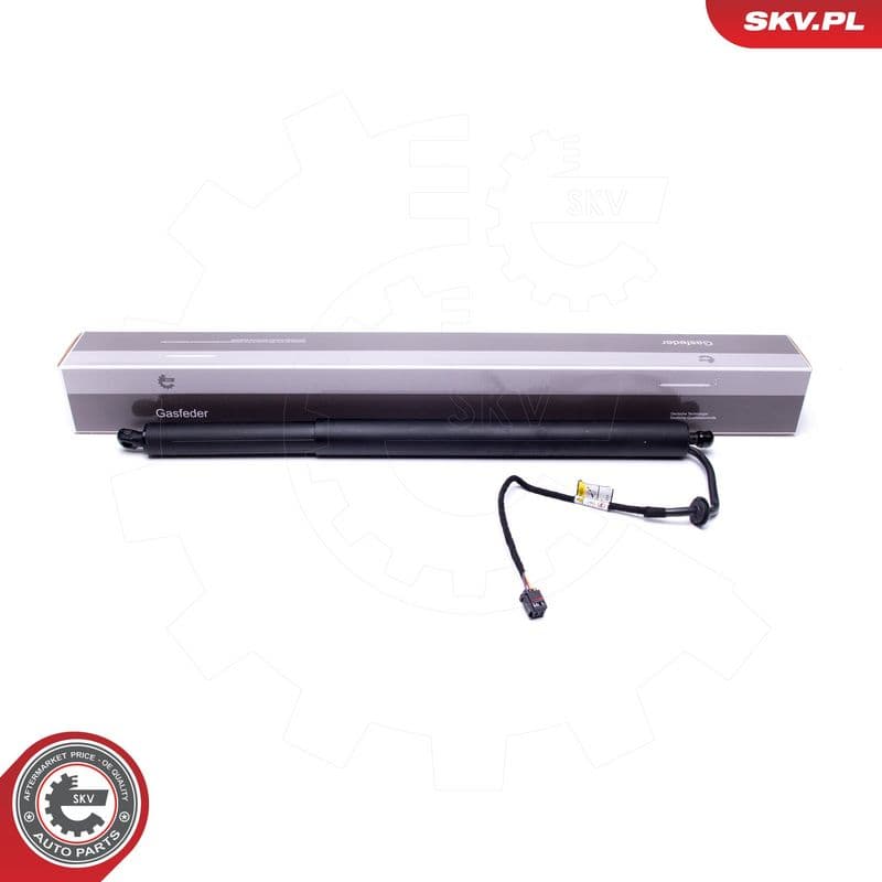 Motor electric, haion ESEN SKV 52SKV917