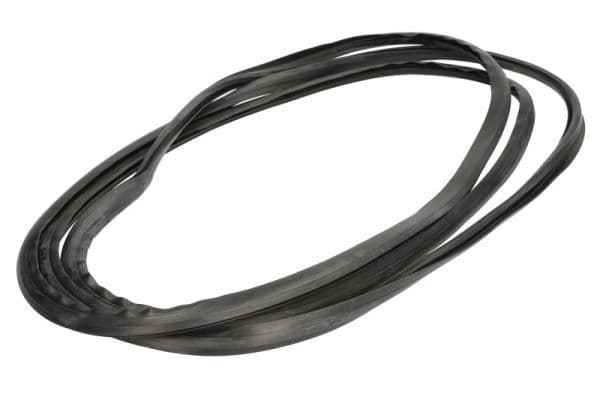 Elemente decorative/protectie, parbriz BLIC 5703-04-6037569Q