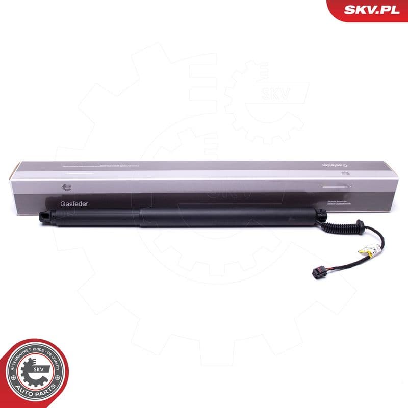 Motor electric, haion ESEN SKV 52SKV913