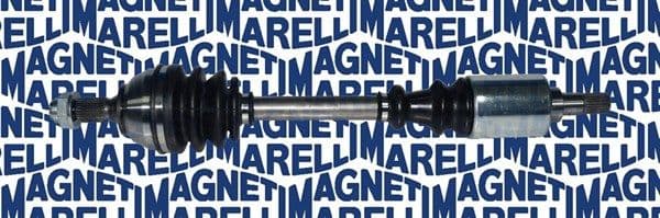 Planetara MAGNETI MARELLI 302004190029