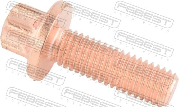Bolturi fixare, brat suspensie FEBEST 1698-006
