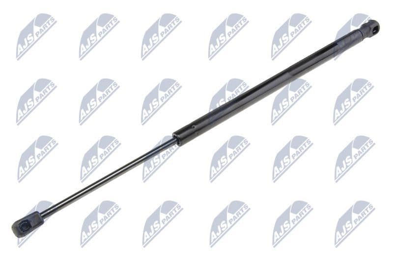 Amortizor portbagaj NTY AE-FR-015